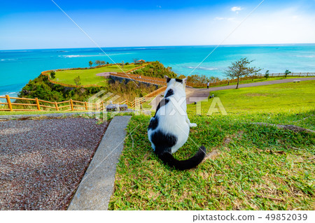 沖繩島的視圖 49852039