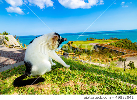 View of Okinawa 49852041