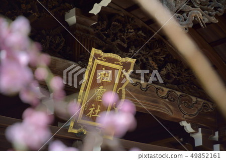 Soreisha Ume Osaka Tenmangu 49852161