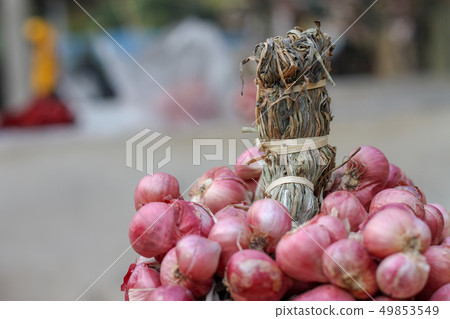 Shallots still on wood background Shallots still on wood background 49853549