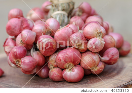 Shallots still on wood background 49853550