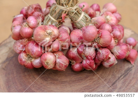 Shallots still on wood background Shallots still on wood background 49853557
