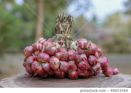 Shallots still on wood background Shallots still on wood background 49853564