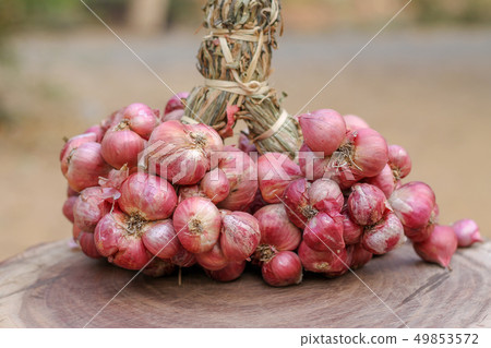 Shallots still on wood background Shallots still on wood background 49853572