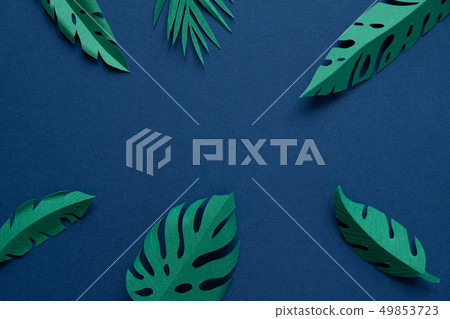tropical leaves cut from paper on a blue 49853723