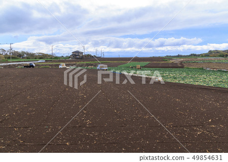 Field (spring) 49854631
