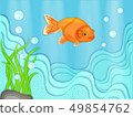 Goldfish, Paper Cut, Layer Art 49854762