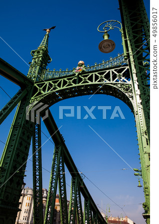 Liberty Bridge or Freedom Bridge over the Danube 49856017