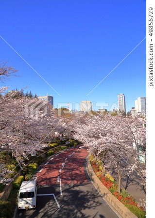 Cherry blossoms in Tokyo Midtown Cherry blossoms in Tokyo Midtown 49856729