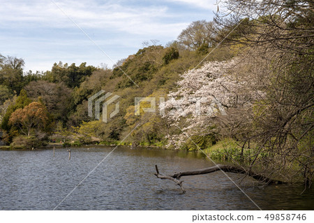 風景 風景 49858746