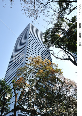 twin 21, twin towers, cherry blossom 49858990