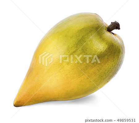 Pouteria campechiana isolated on the white 49859531