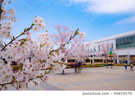 櫻花富山站南口Ekimae 2010.04 b-2 櫻花富山站南口Ekimae 2010.04 b-2 49859579