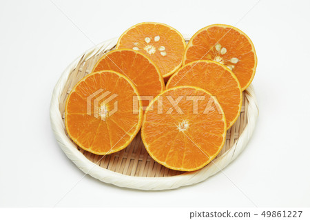 Setoka圓片（柑橘） 49861227