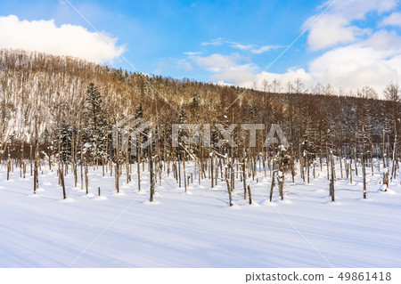 Beautiful outdoor nature landscape with blue pond tree branch in snow winter season Beautiful outdoor nature landscape with blue pond tree branch in snow winter season 49861418