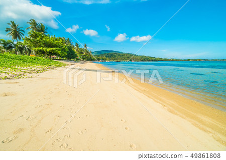 Beautiful tropical beach and sea with coconut palm tree in paradise island Beautiful tropical beach and sea with coconut palm tree in paradise island 49861808