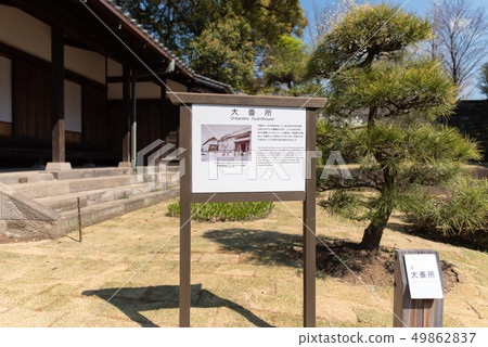 很棒的地址 49862837