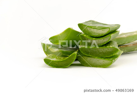 Slice Aloe Vera Isolated on white background. 49863169