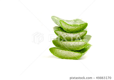 Slice Aloe Vera Isolated on white background. Slice Aloe Vera Isolated on white background. 49863170