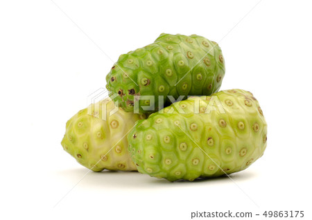 Morinda citrifolia or Noni Isolated on white. 49863175