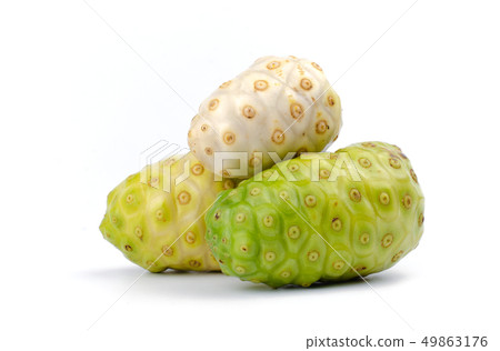 Morinda citrifolia or Noni Isolated on white. Morinda citrifolia or Noni Isolated on white. 49863176