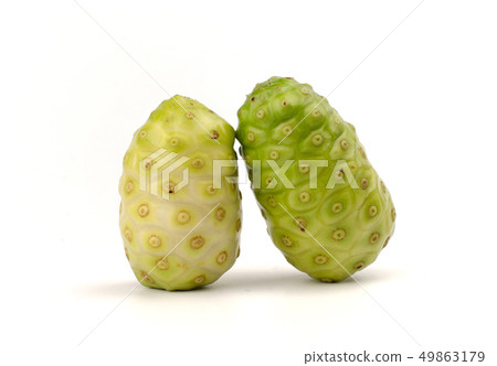 Morinda citrifolia or Noni Isolated on white. 49863179