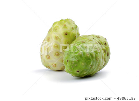 Morinda citrifolia or Noni Isolated on white. 49863182