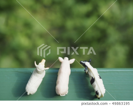 Miniature livestock 7 Miniature livestock 7 49863195
