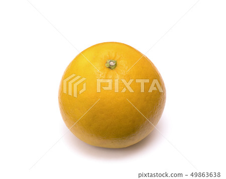 河內康拜 49863638