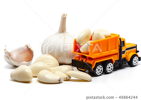 A yellow toy dump truck with garlic 49864244