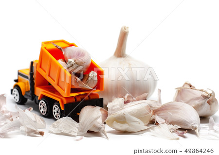 A yellow toy dump truck with garlic A yellow toy dump truck with garlic 49864246