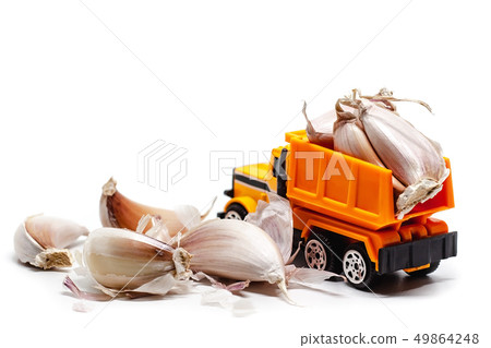 A yellow toy dump truck with garlic A yellow toy dump truck with garlic 49864248