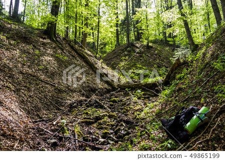 a deep forest 49865199