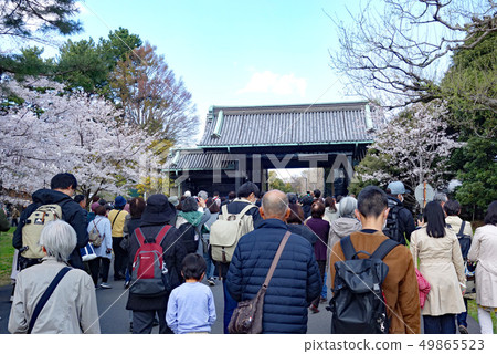 Spring of March, 2010 Imperial Palace Arid Street open to the public (dry gate) Spring of March, 2010 Imperial Palace Arid Street open to the public (dry gate) 49865523