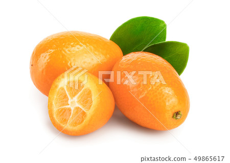 Cumquat or kumquat with half isolated on white background Cumquat or kumquat with half isolated on white background 49865617