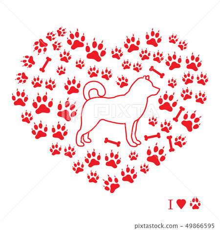Shiba Inu silhouette on a background of dog tracks 49866595