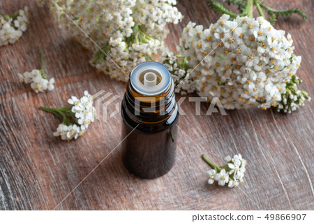 A bottle of yarrow essential oil  49866907