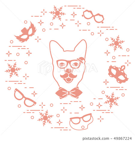 Muzzle of dog in carnival costume, masks, 49867224