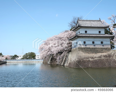 Spring of Shibata castle Spring of Shibata castle 49868066