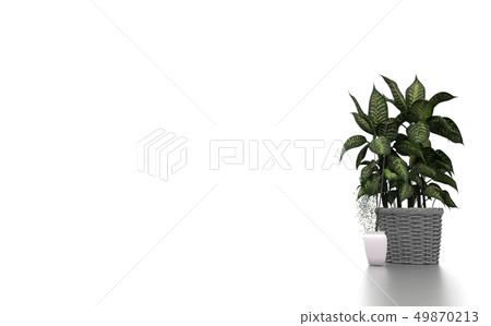 Green plants in white background. 3d rendering Green plants in white background. 3d rendering 49870213