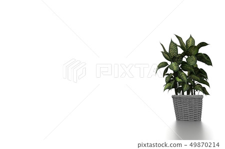 Green plants in white background Green plants in white background 49870214