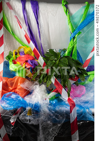 Pretty big house plant having desire for life 49870372