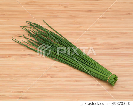 香草韭菜 香草韭菜 49870868