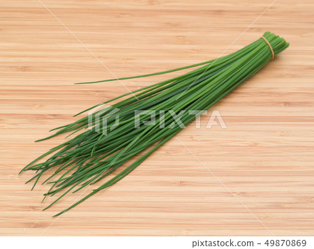 香草韭菜 香草韭菜 49870869