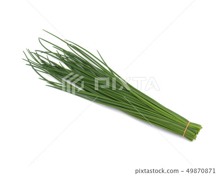 Herb Chives 49870871