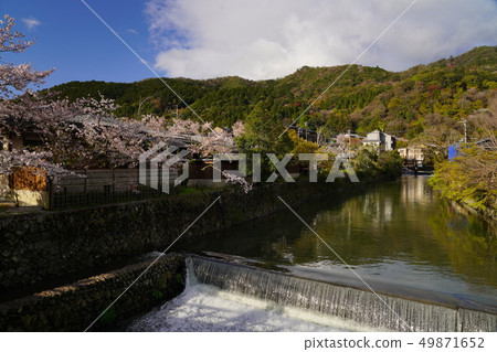 京都的風景 京都的風景 49871652