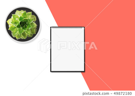 Vertical spiral notepad and succulent flower Vertical spiral notepad and succulent flower 49872180