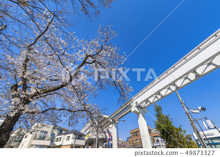 Negawa Green Road的Sakura和Amagasaki體育館站 49873327