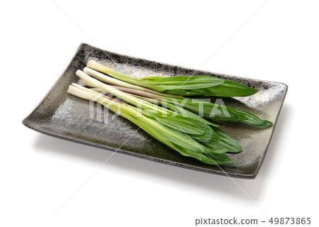Gyeongjinnik Gyeongjinnik 49873865