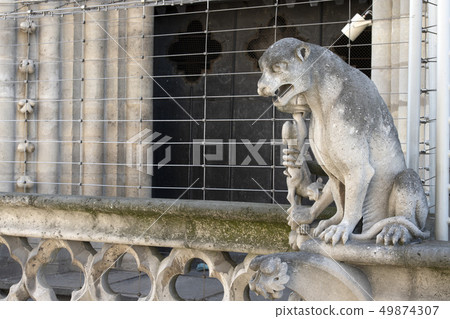 Notre dame paris cathedral statue sculpture and 49874307